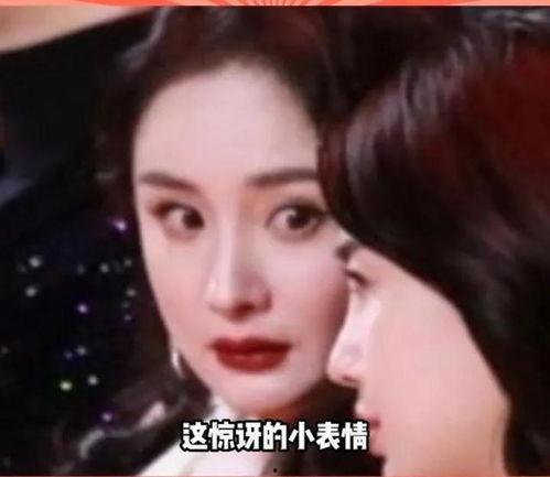 娱乐圈里的瓜怎么吃